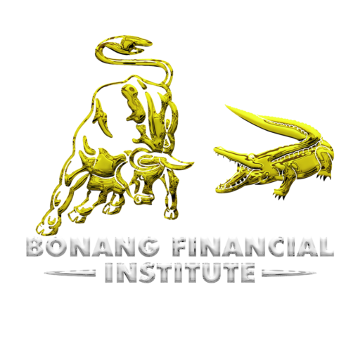 Bonang Financial Institute