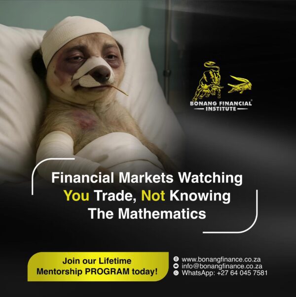 Bonang Financial Institute | Lifetime Mentorship
